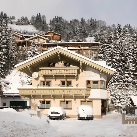 Appartementhaus Karin Viehhofen