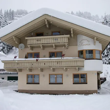 Appartementhaus Karin Viehhofen